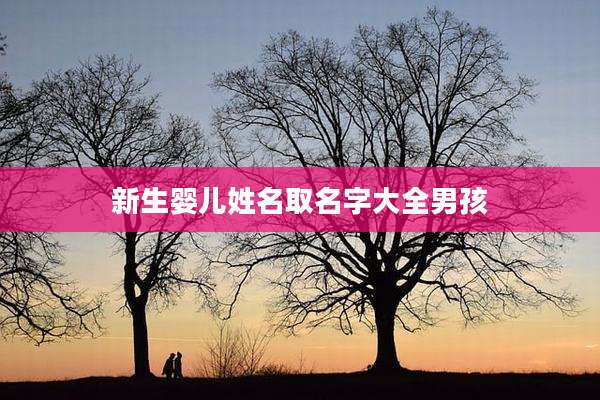 新生婴儿姓名取名字大全男孩