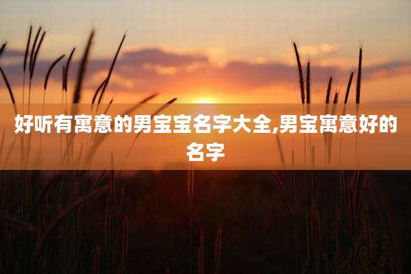 好听有寓意的男宝宝名字大全,男宝寓意好的名字