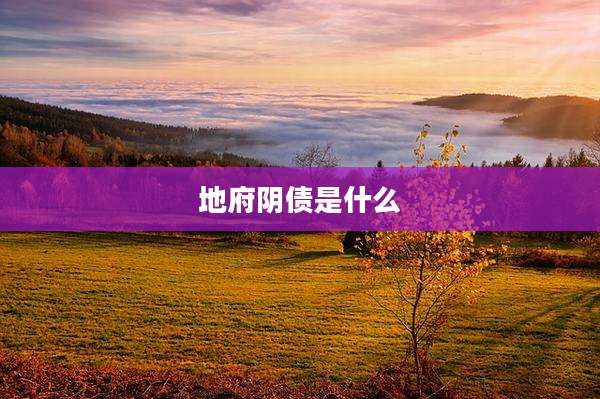 地府阴债是什么