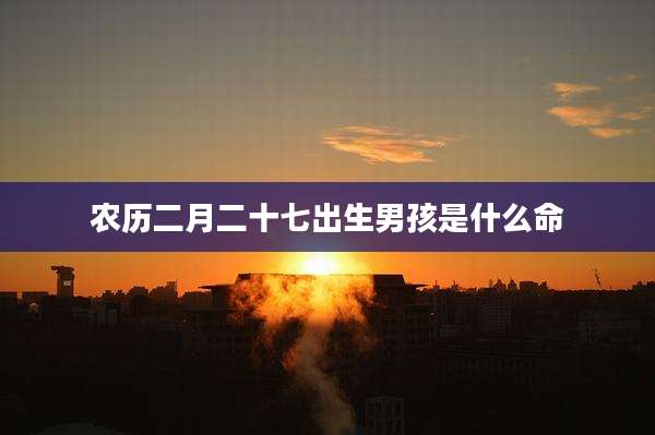 农历二月二十七出生男孩是什么命