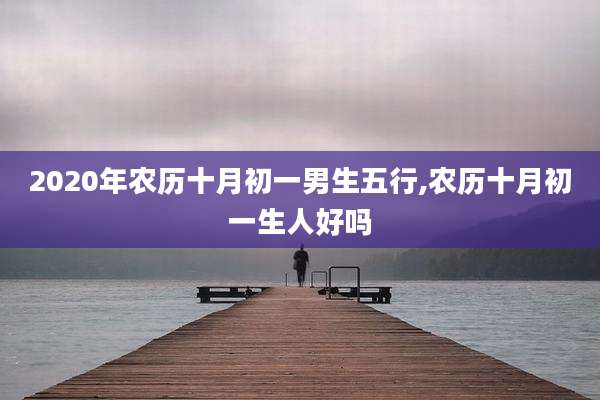 2020年农历十月初一男生五行,农历十月初一生人好吗