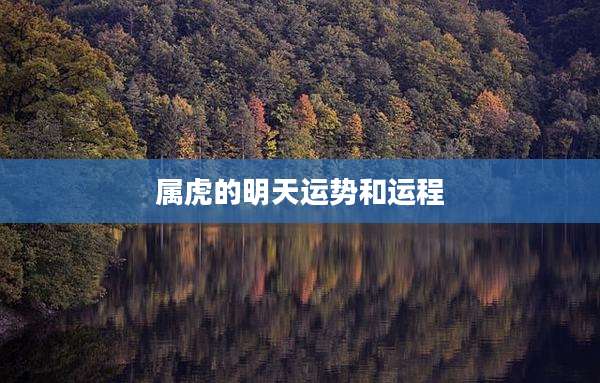 属虎的明天运势和运程