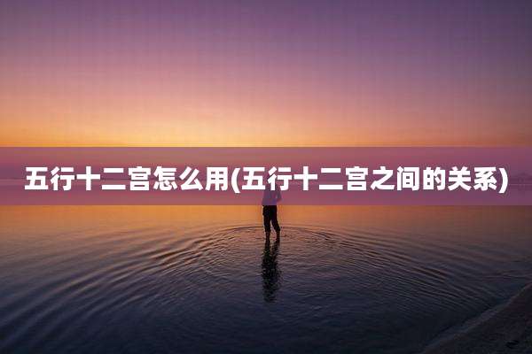五行十二宫怎么用(五行十二宫之间的关系)