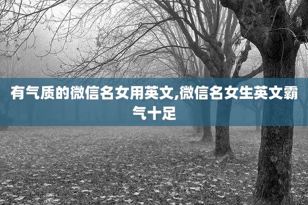 有气质的微信名女用英文,微信名女生英文霸气十足