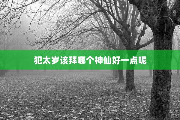 犯太岁该拜哪个神仙好一点呢