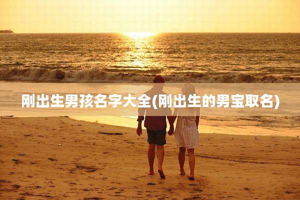 刚出生男孩名字大全(刚出生的男宝取名)
