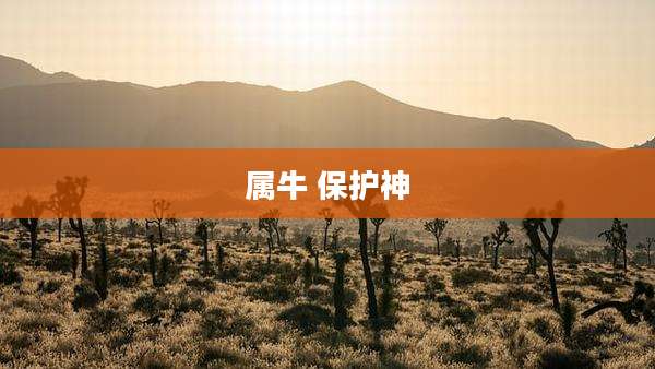属牛 保护神