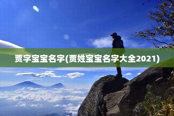 贾字宝宝名字(贾姓宝宝名字大全2021)