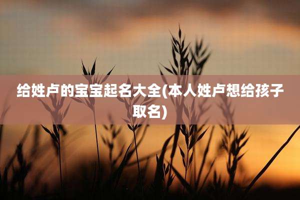 给姓卢的宝宝起名大全(本人姓卢想给孩子取名)