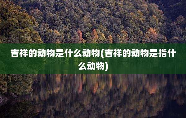 吉祥的动物是什么动物(吉祥的动物是指什么动物)