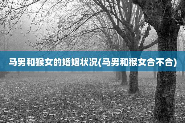 马男和猴女的婚姻状况(马男和猴女合不合)