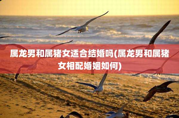 属龙男和属猪女适合结婚吗(属龙男和属猪女相配婚姻如何)