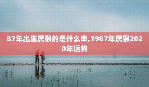 87年出生属猴的是什么命,1987年属猴2020年运势