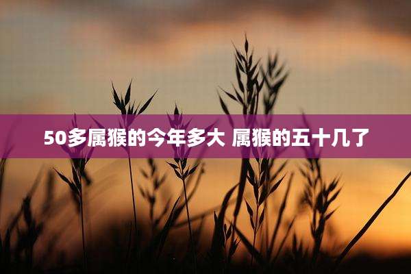 50多属猴的今年多大 属猴的五十几了