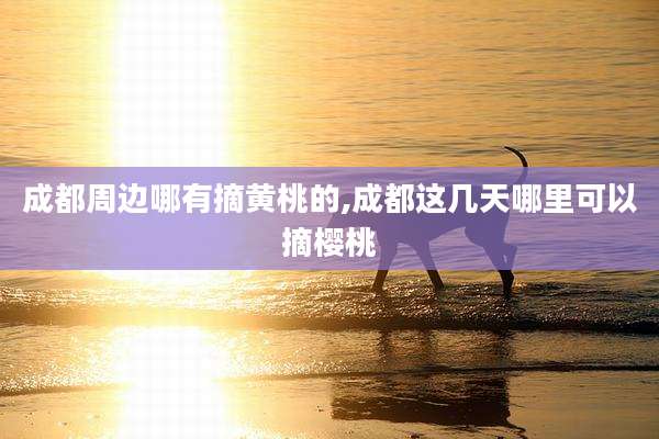 成都周边哪有摘黄桃的,成都这几天哪里可以摘樱桃