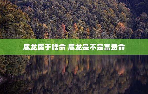 属龙属于啥命 属龙是不是富贵命