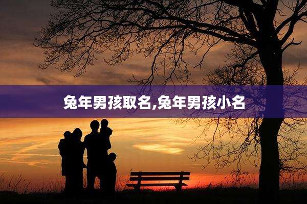 兔年男孩取名,兔年男孩小名