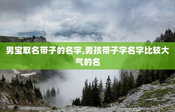 男宝取名带子的名字,男孩带子字名字比较大气的名