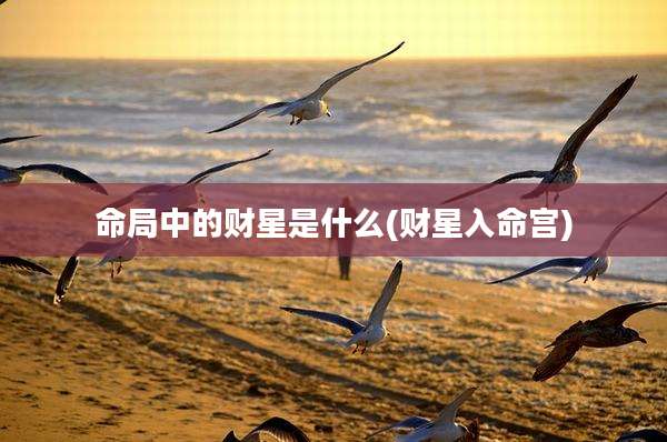 命局中的财星是什么(财星入命宫)
