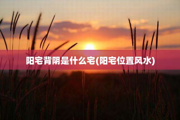 阳宅背阴是什么宅(阳宅位置风水)