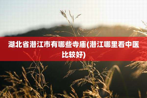 湖北省潜江市有哪些寺庙(潜江哪里看中医比较好)