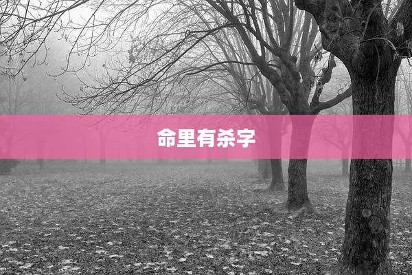 命里有杀字