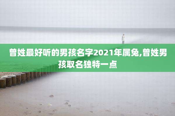曾姓最好听的男孩名字2021年属兔,曾姓男孩取名独特一点