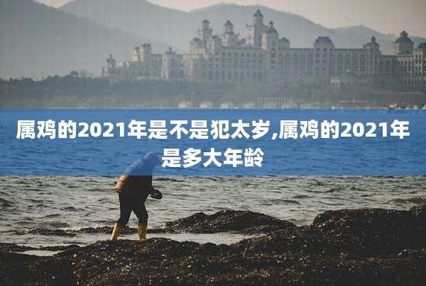 属鸡的2021年是不是犯太岁,属鸡的2021年是多大年龄