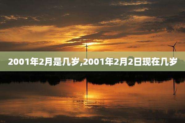 2001年2月是几岁,2001年2月2日现在几岁