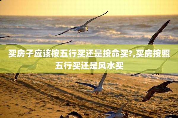 买房子应该按五行买还是按命买?,买房按照五行买还是风水买