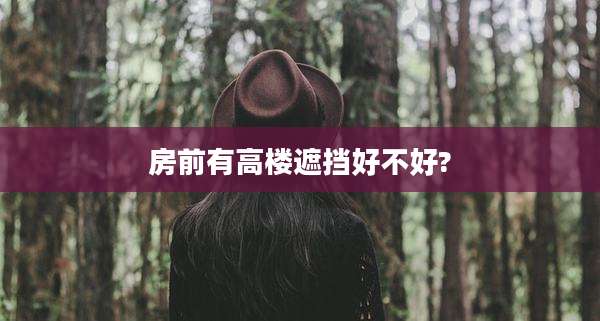 房前有高楼遮挡好不好?