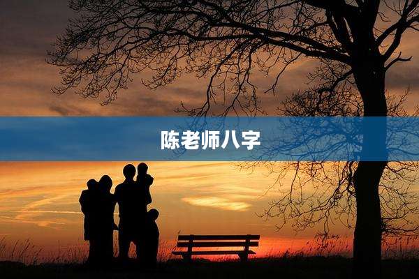 陈老师八字