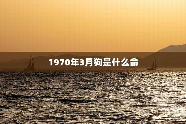 1970年3月狗是什么命