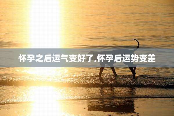 怀孕之后运气变好了,怀孕后运势变差