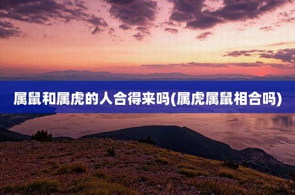 属鼠和属虎的人合得来吗(属虎属鼠相合吗)