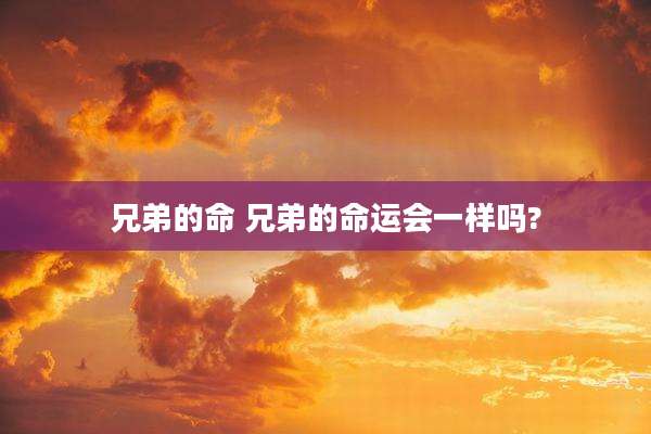 兄弟的命 兄弟的命运会一样吗?