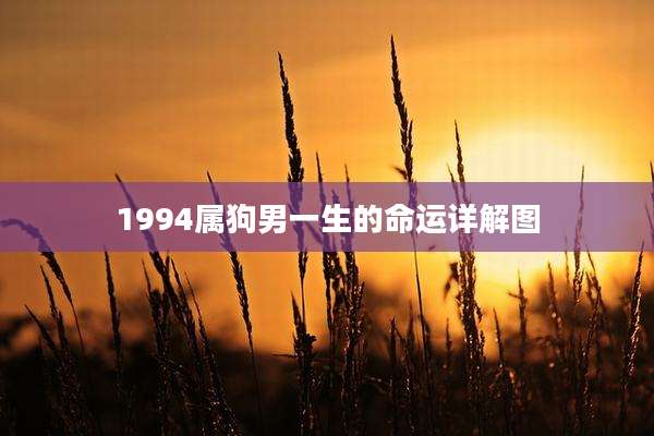1994属狗男一生的命运详解图