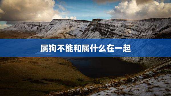属狗不能和属什么在一起