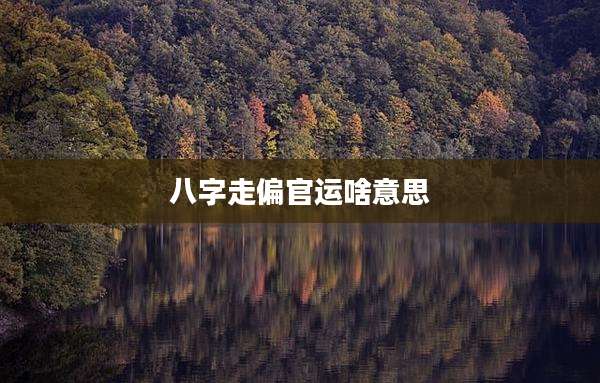 八字走偏官运啥意思