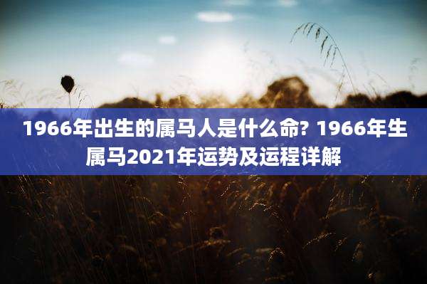 1966年出生的属马人是什么命? 1966年生属马2021年运势及运程详解