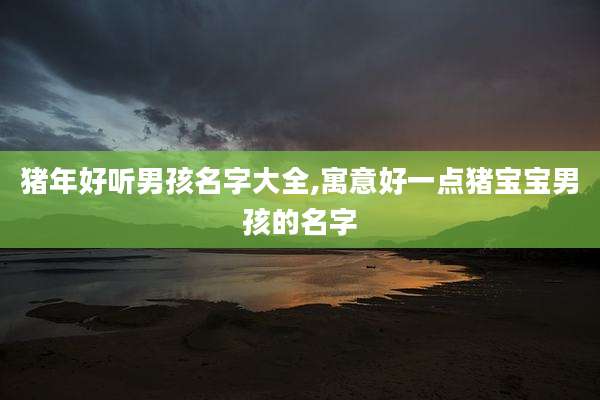 猪年好听男孩名字大全,寓意好一点猪宝宝男孩的名字