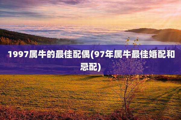 1997属牛的最佳配偶(97年属牛最佳婚配和忌配)