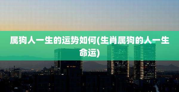 属狗人一生的运势如何(生肖属狗的人一生命运)