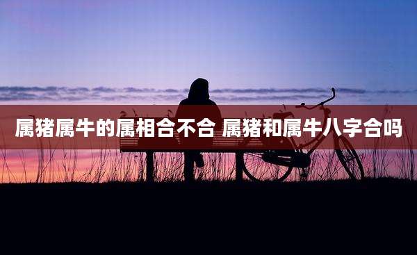 属猪属牛的属相合不合 属猪和属牛八字合吗