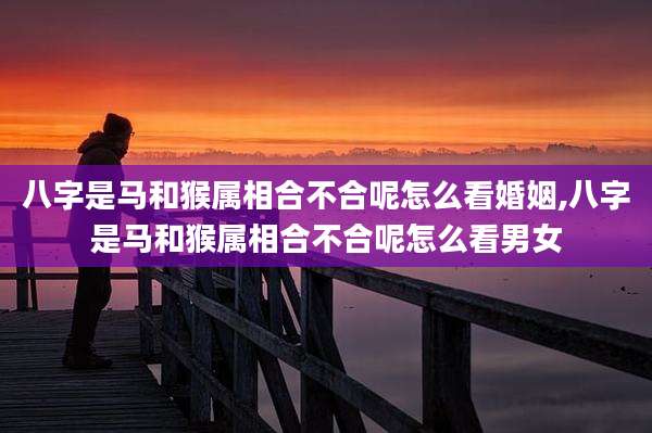 八字是马和猴属相合不合呢怎么看婚姻,八字是马和猴属相合不合呢怎么看男女