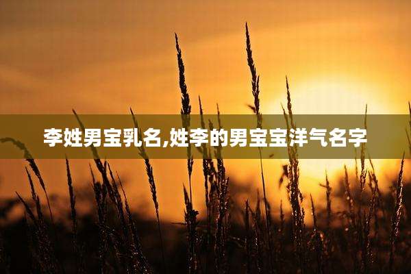 李姓男宝乳名,姓李的男宝宝洋气名字