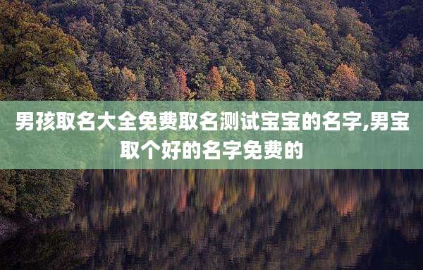 男孩取名大全免费取名测试宝宝的名字,男宝取个好的名字免费的