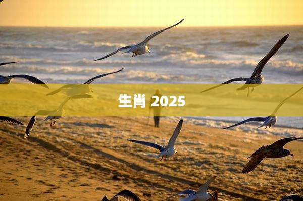 生肖 2025