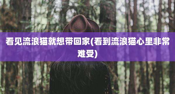 看见流浪猫就想带回家(看到流浪猫心里非常难受)