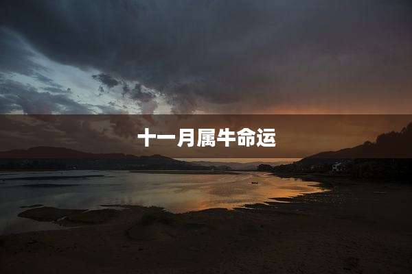 十一月属牛命运